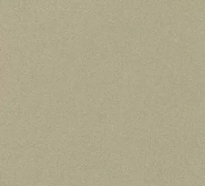 C466311 image