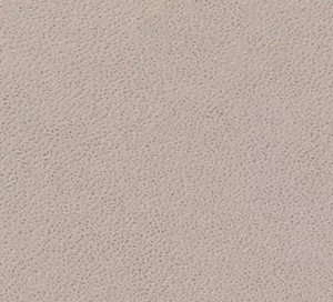 C466409 image