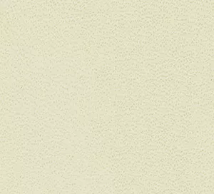 C466513 image