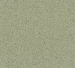 C466747 image