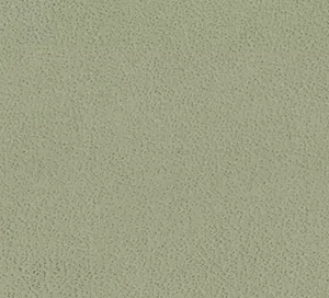 C466747 image