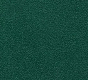 C466828 image