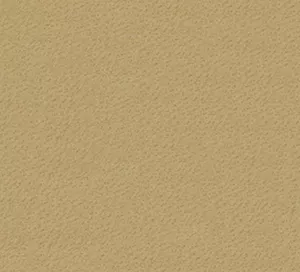 C466905 image