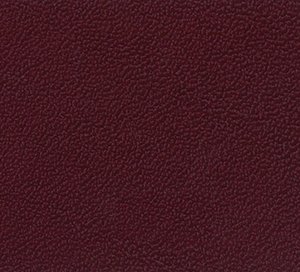 C331829 image