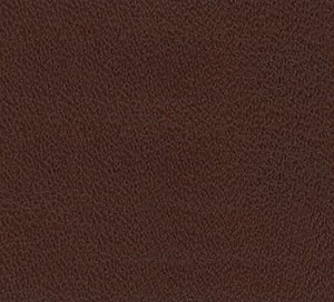 C331962 image