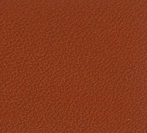 C565354 image