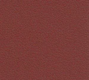 C338009 image