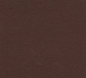 C338069 image