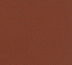 C338170 image