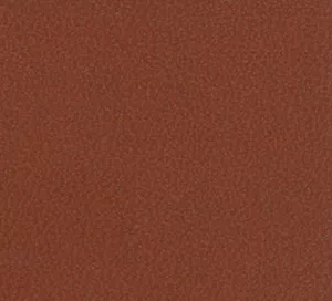C338170 image