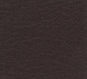 C338195 image