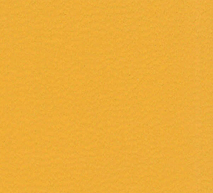 C338236 image