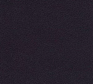 C338334 image