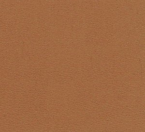 C338761 image