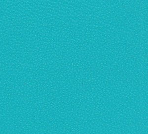 C338775 image