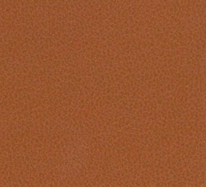 C338801 image