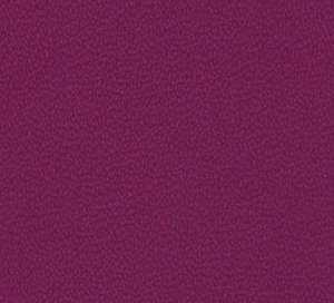C338871 image
