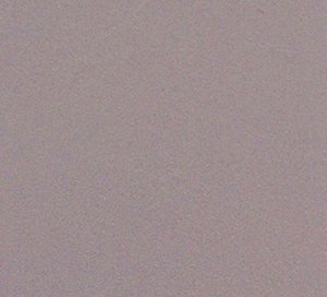 C338902 image