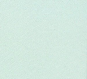 C338903 image