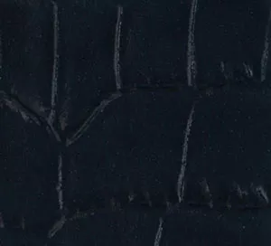 C750827 image