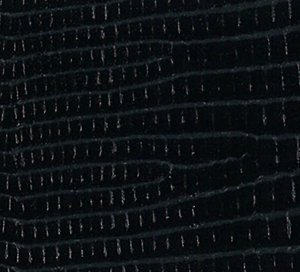 C759001 black image