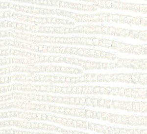 C759321 image