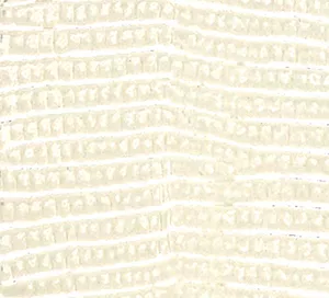 C759433 image