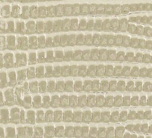 C759747 image