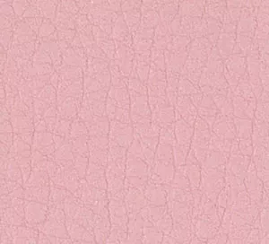 C753319 image