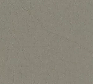 C753338 image