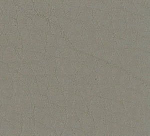 C753338 image