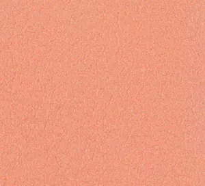 C753742 image