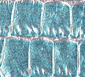 image C755108