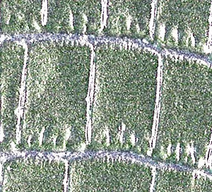 image C755126