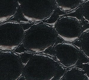 C610001 black image