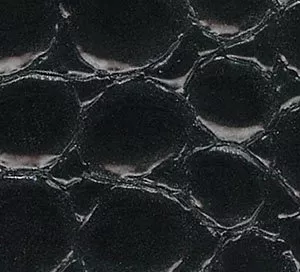C610001 black image