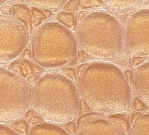 C610012 image