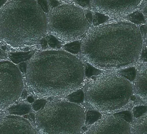C610249 image
