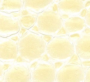 C610626 image