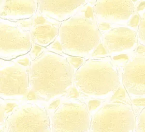 C610626 image