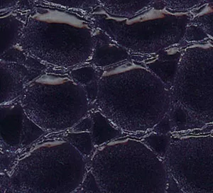 C610735 image