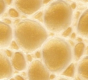 C610834 image