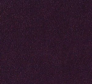 C469808 image