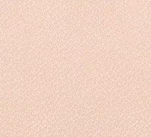 C742652 image
