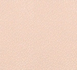 C742652 image
