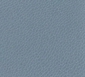 C742849 image