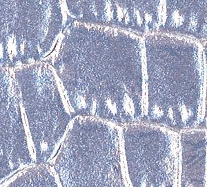 C755216 image