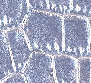 C755216 image