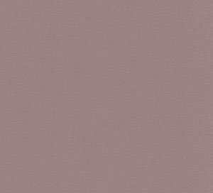 C338319 image