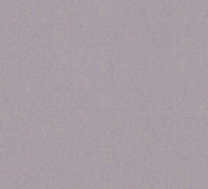 C338875 image
